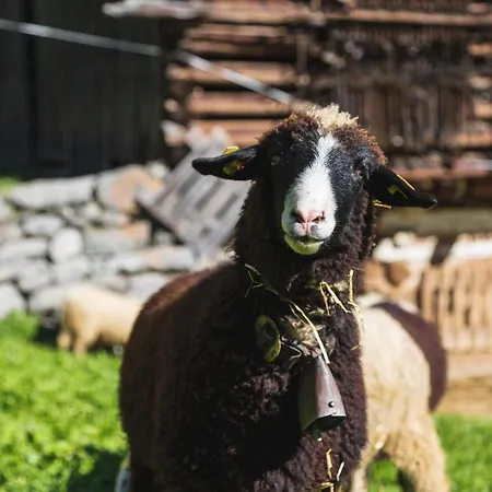 Apartment Haus By A-appartments